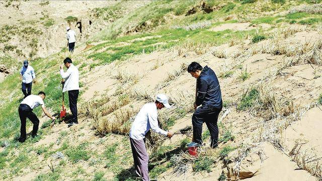 打造“三北”工程的“甘肃庆阳模式”